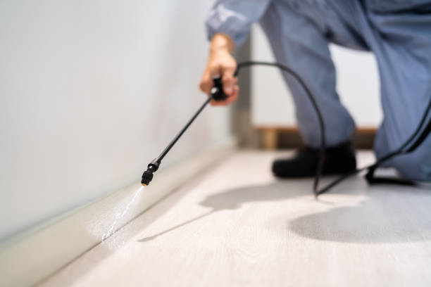 Licensed Pest Control service in Iowa City, IA - Nex Pest Control