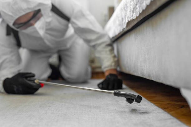 Professional Pest Control technician working in Iowa City, IA