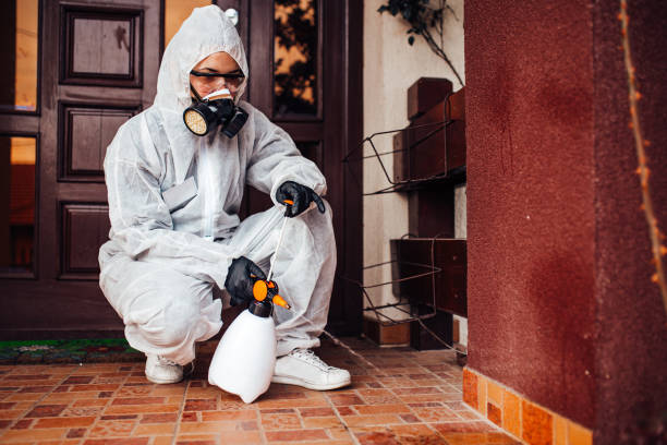 Reliable Bed Bug Control contractor in Iowa City, IA by Nex Pest Control
