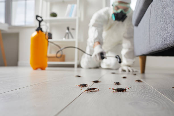 Trusted Rodent Control service in Iowa City, IA - Nex Pest Control