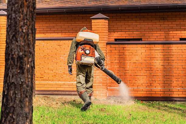 Trusted Termite Control service in Iowa City, IA - Nex Pest Control